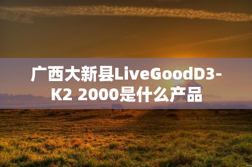 广西大新县LiveGoodD3-K2 2000是什么产品