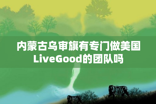 内蒙古乌审旗有专门做美国LiveGood的团队吗