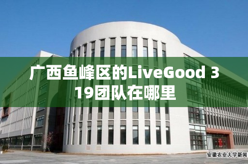 广西鱼峰区的LiveGood 319团队在哪里