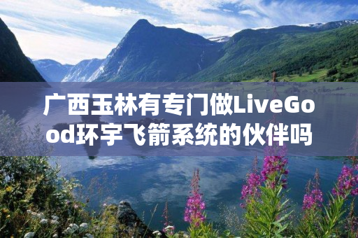 广西玉林有专门做LiveGood环宇飞箭系统的伙伴吗