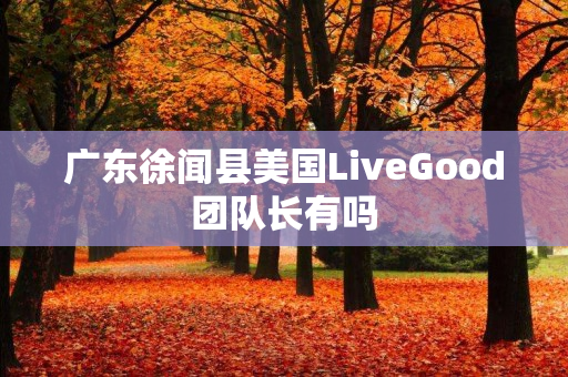 广东徐闻县美国LiveGood团队长有吗