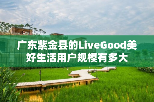 广东紫金县的LiveGood美好生活用户规模有多大