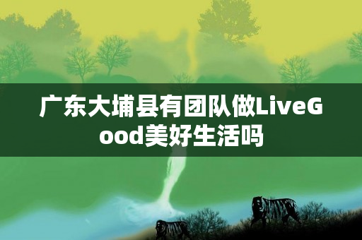 广东大埔县有团队做LiveGood美好生活吗