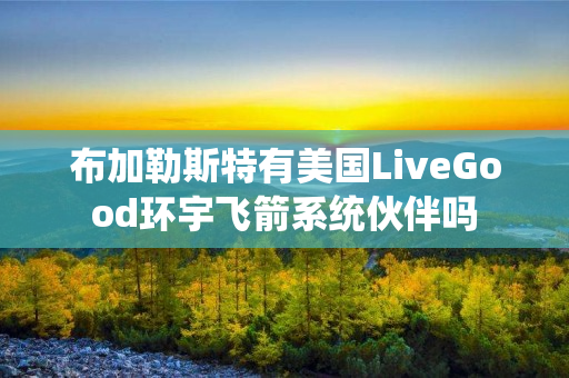 布加勒斯特有美国LiveGood环宇飞箭系统伙伴吗