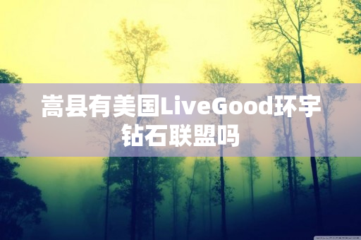 嵩县有美国LiveGood环宇钻石联盟吗