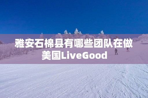 雅安石棉县有哪些团队在做美国LiveGood