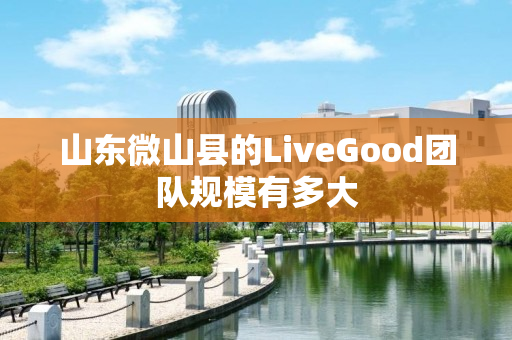 山东微山县的LiveGood团队规模有多大