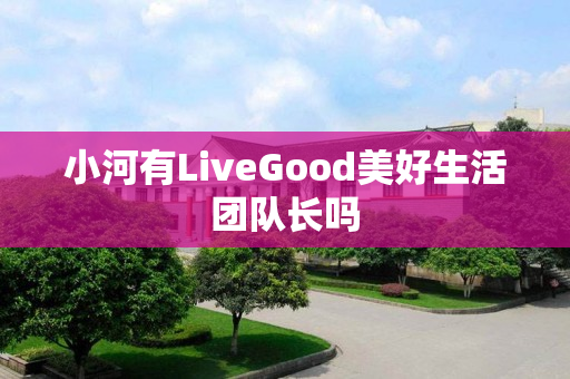 小河有LiveGood美好生活团队长吗