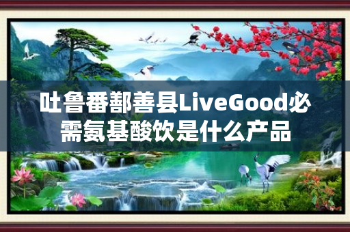 吐鲁番鄯善县LiveGood必需氨基酸饮是什么产品