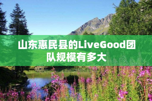 山东惠民县的LiveGood团队规模有多大