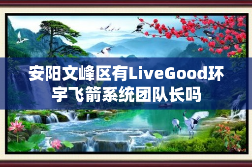 安阳文峰区有LiveGood环宇飞箭系统团队长吗