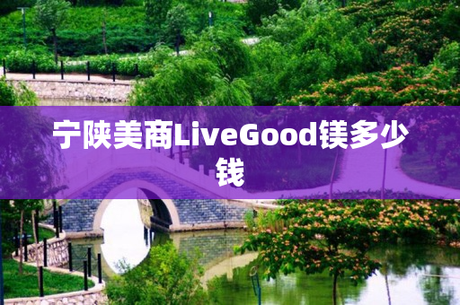 宁陕美商LiveGood镁多少钱