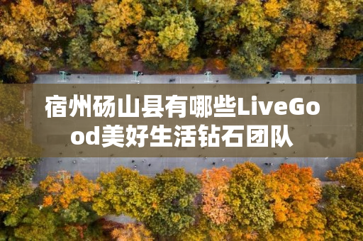 宿州砀山县有哪些LiveGood美好生活钻石团队