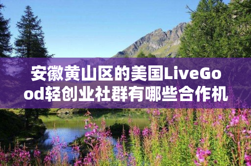 安徽黄山区的美国LiveGood轻创业社群有哪些合作机会