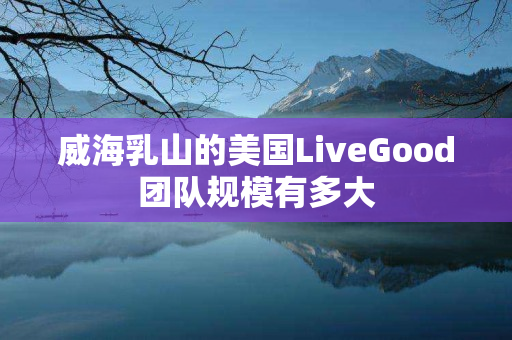 威海乳山的美国LiveGood团队规模有多大