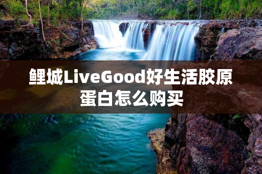 鲤城LiveGood好生活胶原蛋白怎么购买