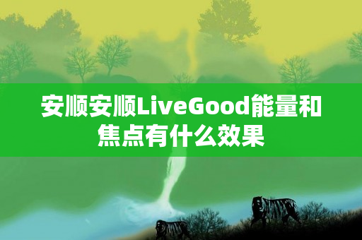 安顺安顺LiveGood能量和焦点有什么效果