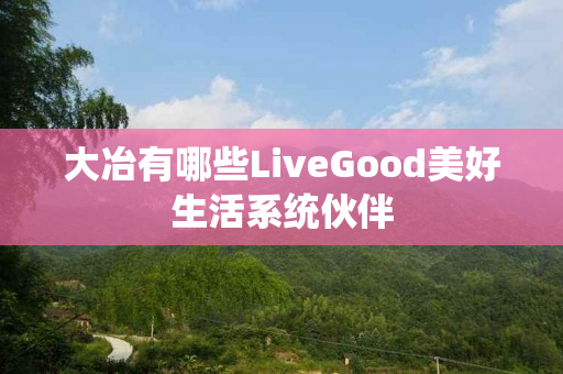 大冶有哪些LiveGood美好生活系统伙伴