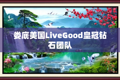 娄底美国LiveGood皇冠钻石团队