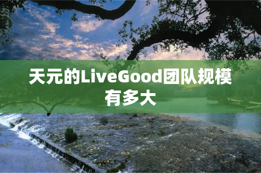 天元的LiveGood团队规模有多大