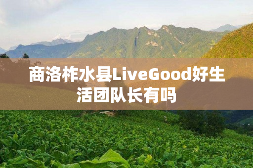 商洛柞水县LiveGood好生活团队长有吗