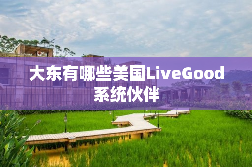 大东有哪些美国LiveGood系统伙伴