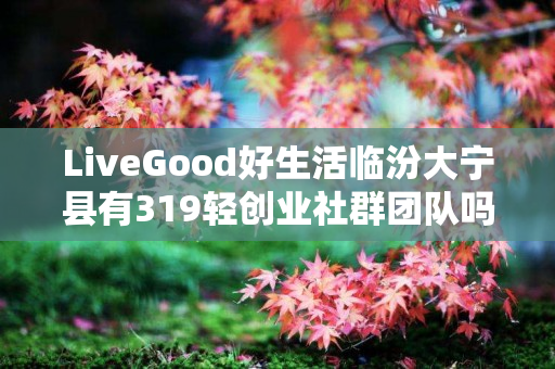 LiveGood好生活临汾大宁县有319轻创业社群团队吗