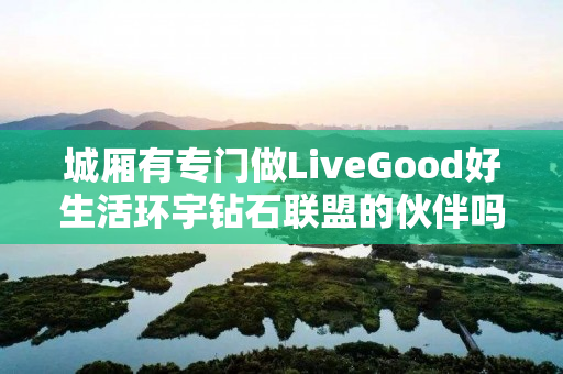 城厢有专门做LiveGood好生活环宇钻石联盟的伙伴吗