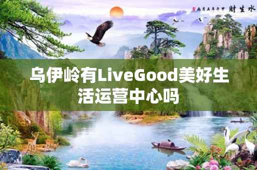 乌伊岭有LiveGood美好生活运营中心吗