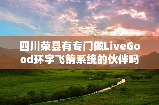 四川荣县有专门做LiveGood环宇飞箭系统的伙伴吗