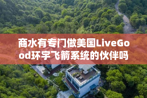 商水有专门做美国LiveGood环宇飞箭系统的伙伴吗