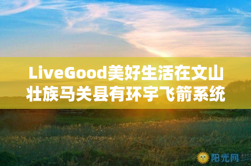 LiveGood美好生活在文山壮族马关县有环宇飞箭系统伙伴吗