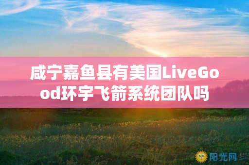 咸宁嘉鱼县有美国LiveGood环宇飞箭系统团队吗