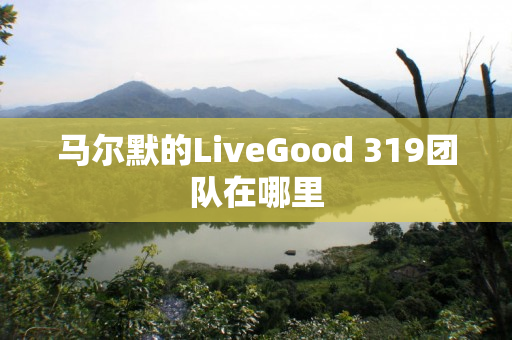 马尔默的LiveGood 319团队在哪里