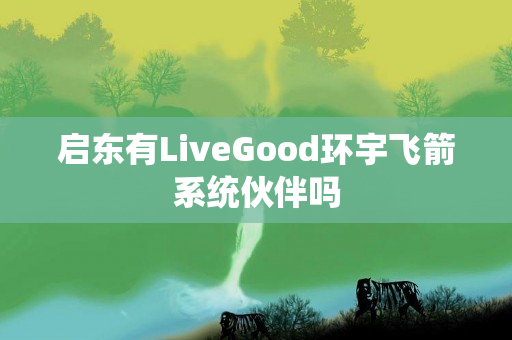 启东有LiveGood环宇飞箭系统伙伴吗