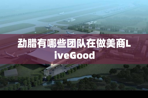 勐腊有哪些团队在做美商LiveGood