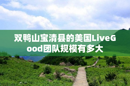 双鸭山宝清县的美国LiveGood团队规模有多大