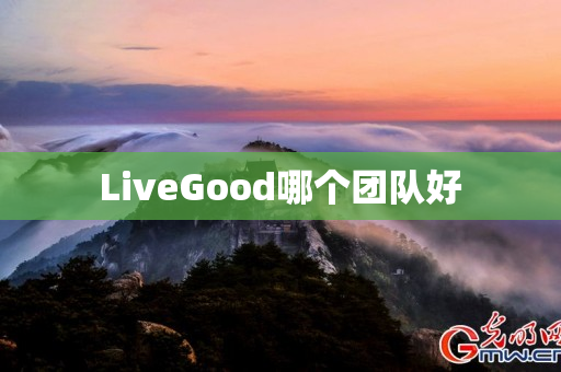 LiveGood哪个团队好