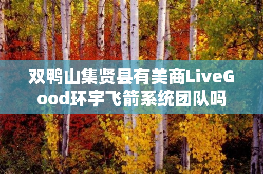 双鸭山集贤县有美商LiveGood环宇飞箭系统团队吗