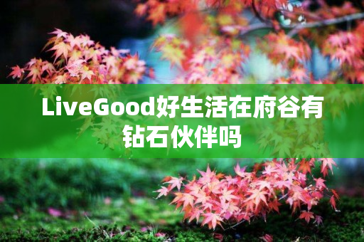 LiveGood好生活在府谷有钻石伙伴吗