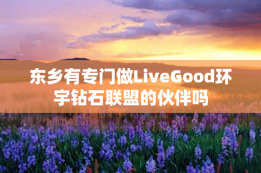 东乡有专门做LiveGood环宇钻石联盟的伙伴吗