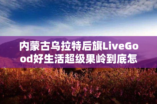 内蒙古乌拉特后旗LiveGood好生活超级果岭到底怎么样