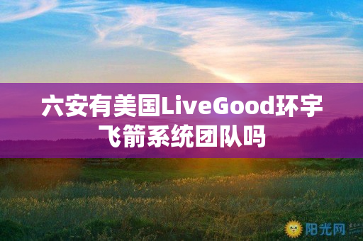 六安有美国LiveGood环宇飞箭系统团队吗