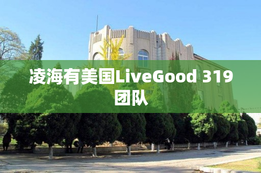 凌海有美国LiveGood 319团队