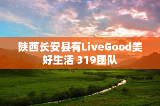 陕西长安县有LiveGood美好生活 319团队