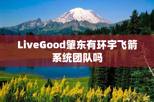 LiveGood肇东有环宇飞箭系统团队吗