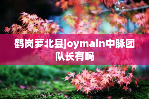 鹤岗萝北县joymain中脉团队长有吗