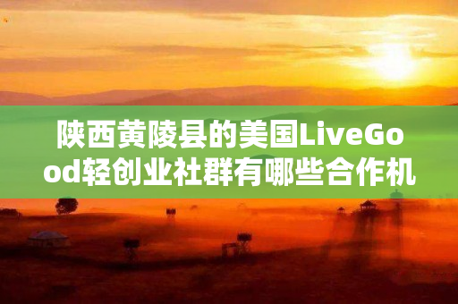 陕西黄陵县的美国LiveGood轻创业社群有哪些合作机会