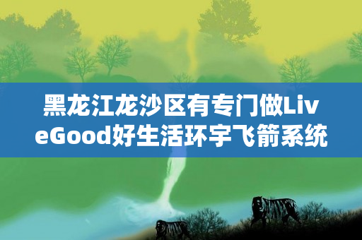 黑龙江龙沙区有专门做LiveGood好生活环宇飞箭系统的伙伴吗