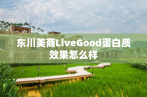 东川美商LiveGood蛋白质效果怎么样